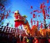 Holidays of Vietnam.  New Year or Tet