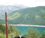 Что посмотреть на севере Черногории